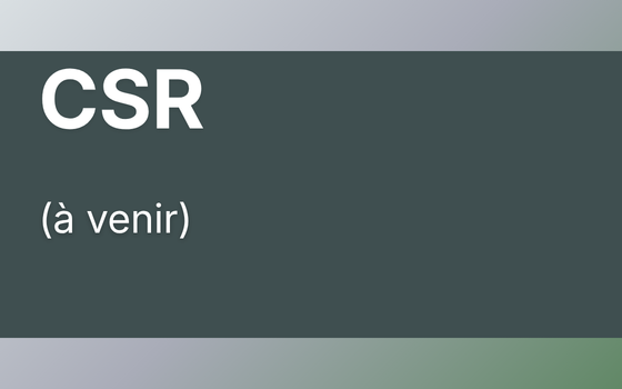  CSR