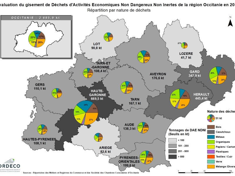 Répartition par nature du gisement de DAE NDNI Occitanie 2017
